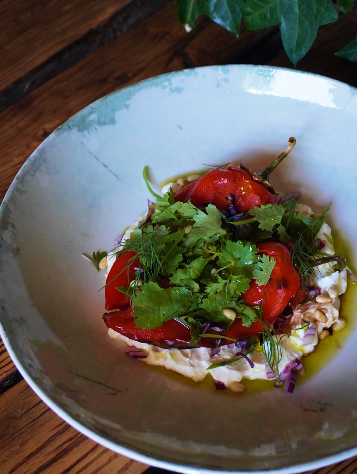 Південна Брама